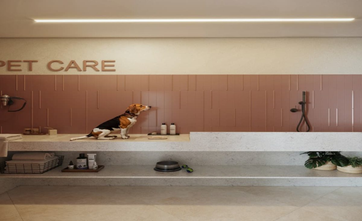 soul-rio-princesa-januaria-lancamento-flamengo-soniaferreiraimoveisrj.com.br-pet-care